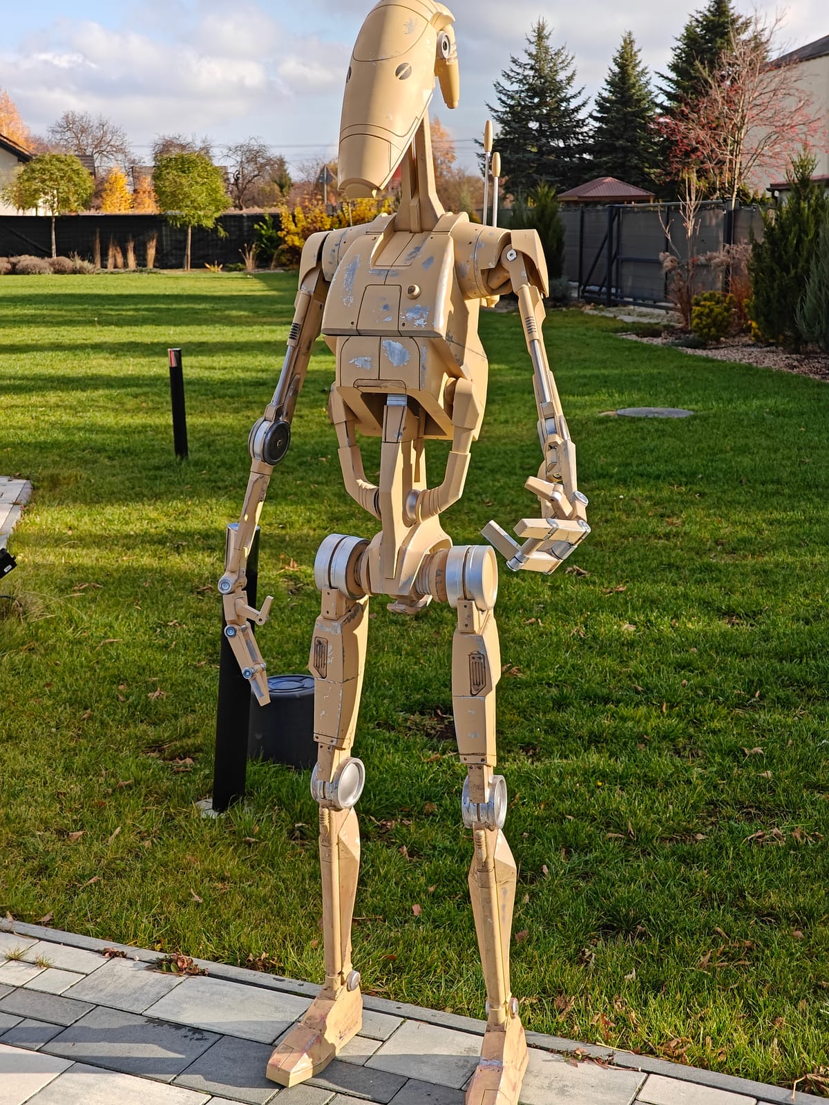 Finally, a droid comes true ;)